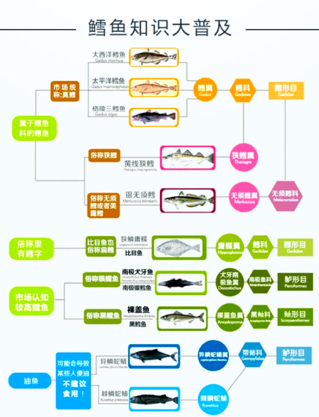 鳕鱼垂钓技巧(鳕鱼的钓法) 鳕鱼垂钓技巧(鳕鱼的钓法)