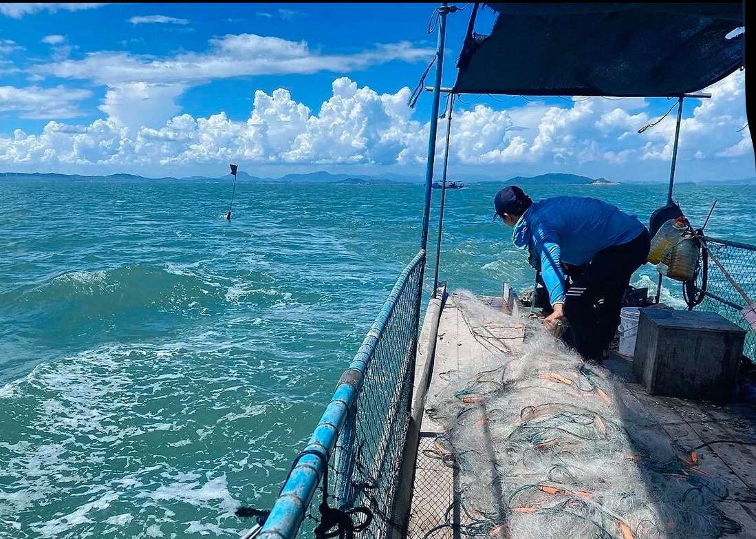 东山岐下海钓(东山岛海钓鱼排80块钱) 东山岐下海钓(东山岛海钓鱼排80块钱)
