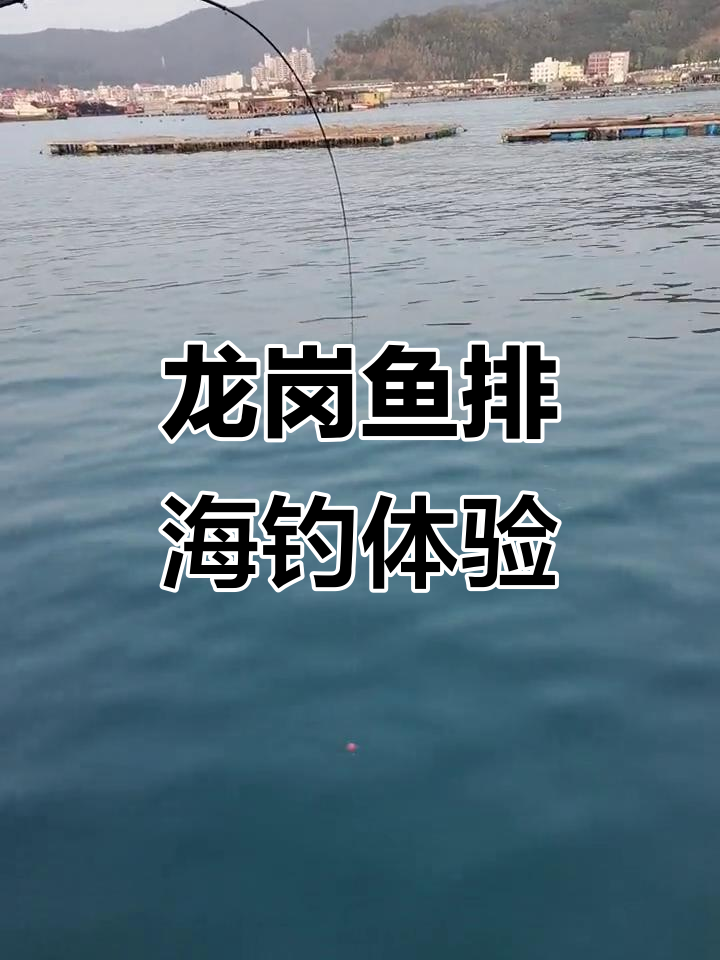 海钓鱼排钓法(海钓鱼排怎么钓) 海钓鱼排钓法(海钓鱼排怎么钓)