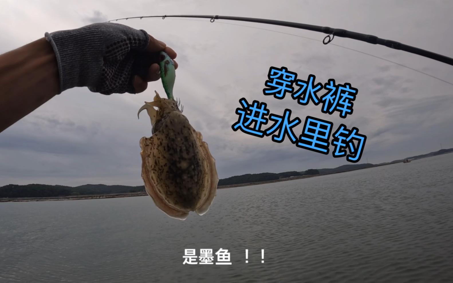 西海钓鱼频道(西海伐钓) 西海钓鱼频道(西海伐钓)