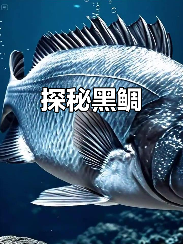 海钓黑鲷深度(海钓黑鲷深度多少合适)