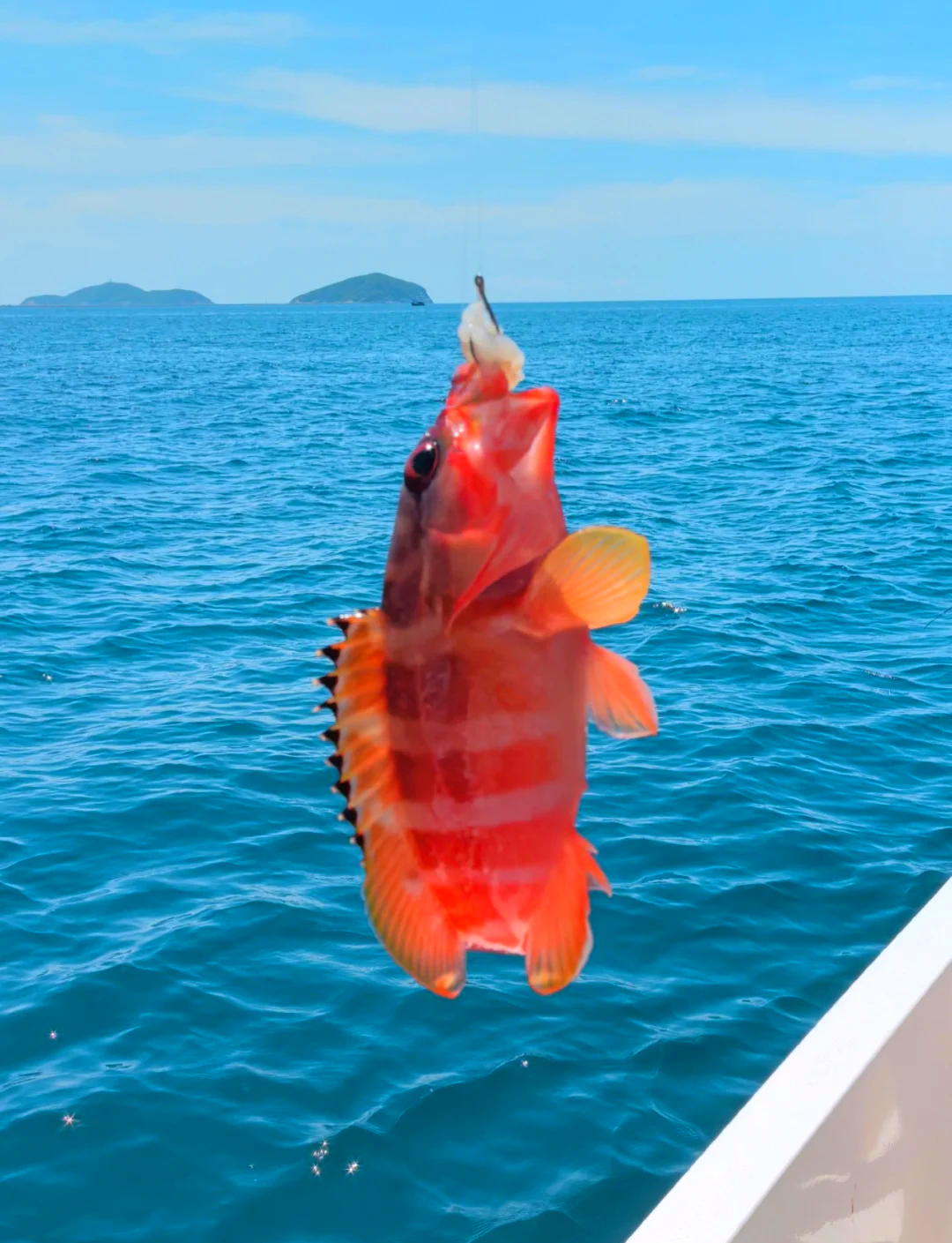 亚庇海钓(亚庇景点) 亚庇海钓(亚庇景点)