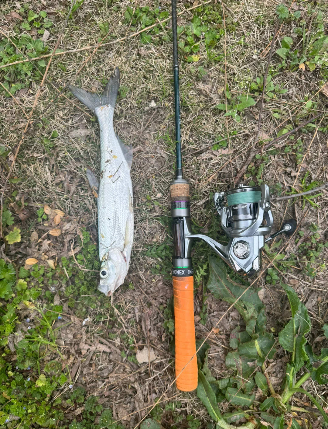 日本沟渠路亚(日本路亚教学视频) 日本沟渠路亚(日本路亚教学视频)