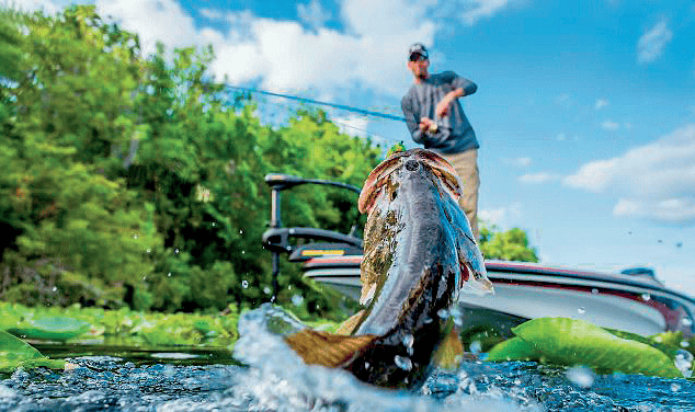 路亚国内比赛视频(路亚比赛2020视频) 路亚国内比赛视频(路亚比赛2020视频)