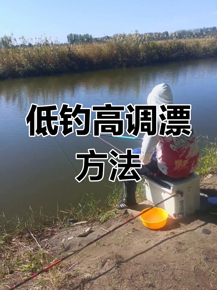 野钓鱼的技巧视频(野钓鱼的技巧视频大全)
