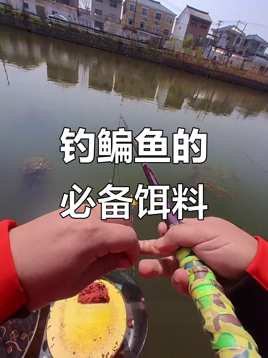 大眼华鳊用什么饵料钓(大眼华鳊能长多大)