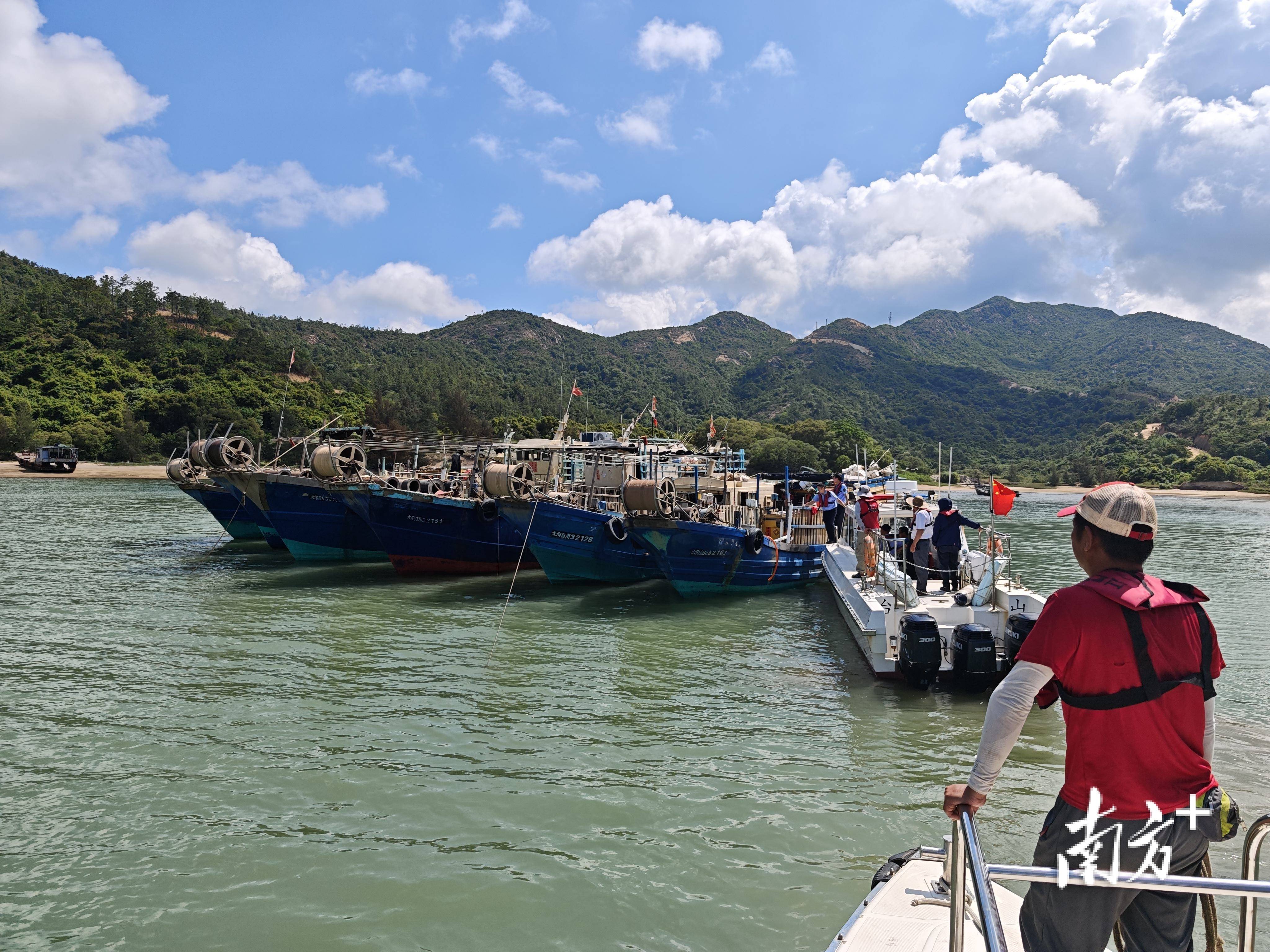 非法海钓怎么处理(非法钓鱼) 非法海钓怎么处理(非法钓鱼)