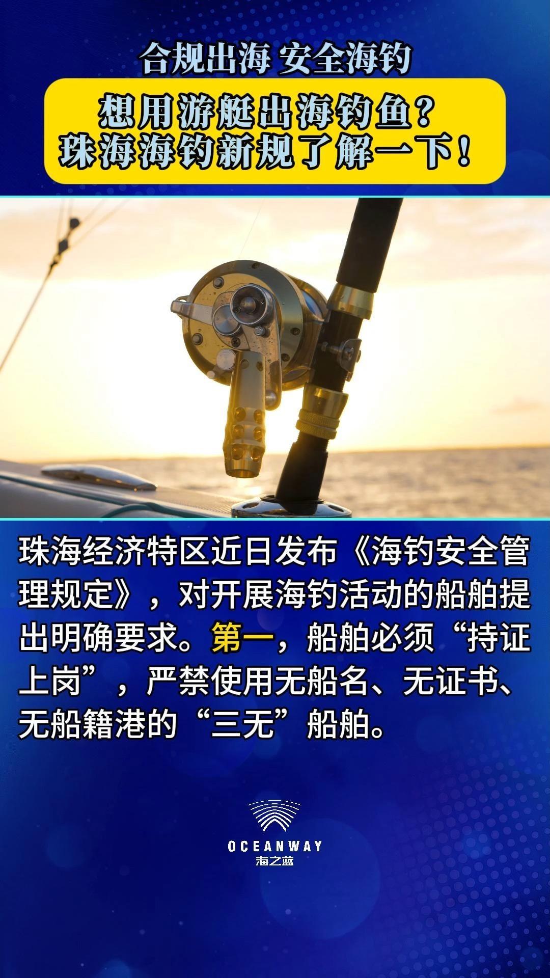 海钓的要求(海钓都需要什么钓具)