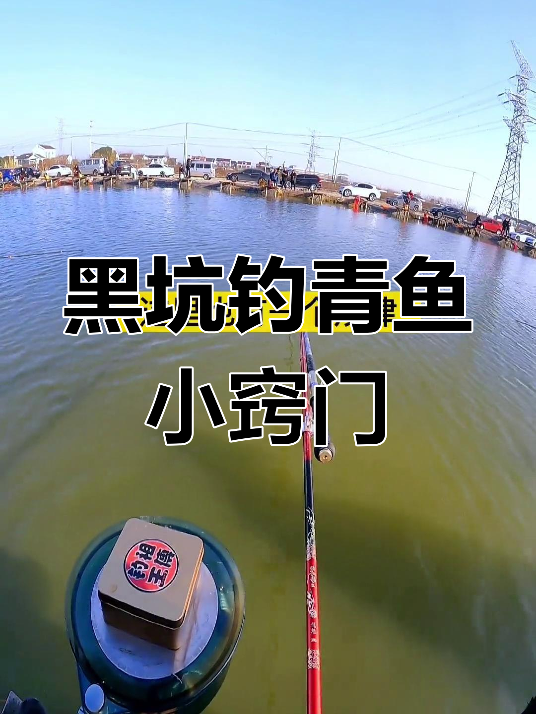 黑坑葡萄青鱼垂钓技巧(黑坑葡萄青鱼垂钓技巧和方法)