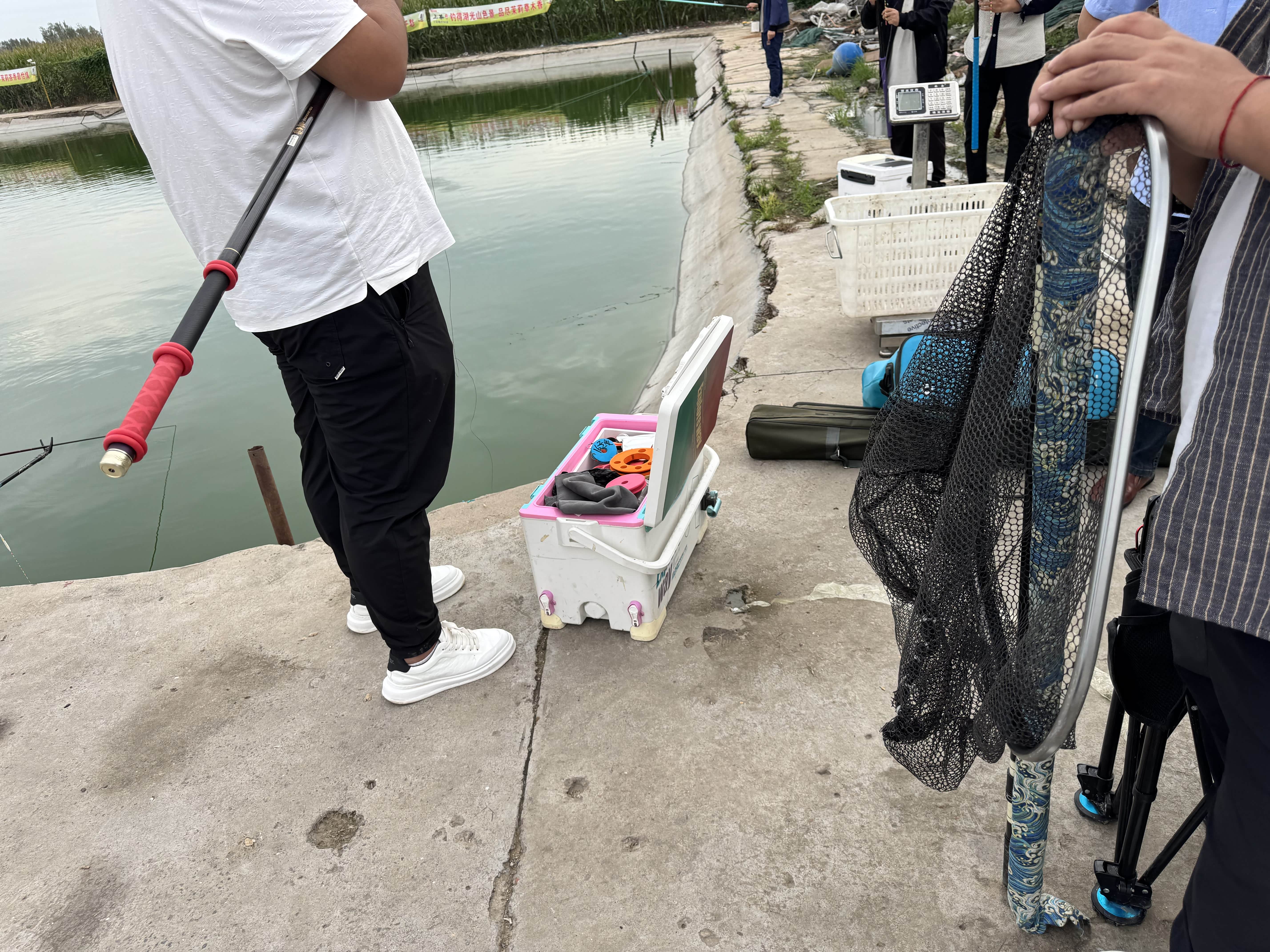 黑坑葡萄青鱼垂钓技巧(黑坑葡萄青鱼垂钓技巧和方法)