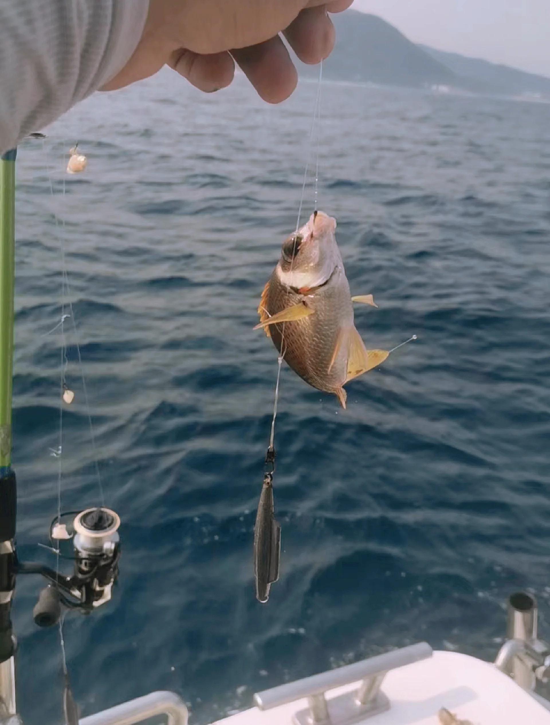 海钓人的梦想(海钓人生感悟)