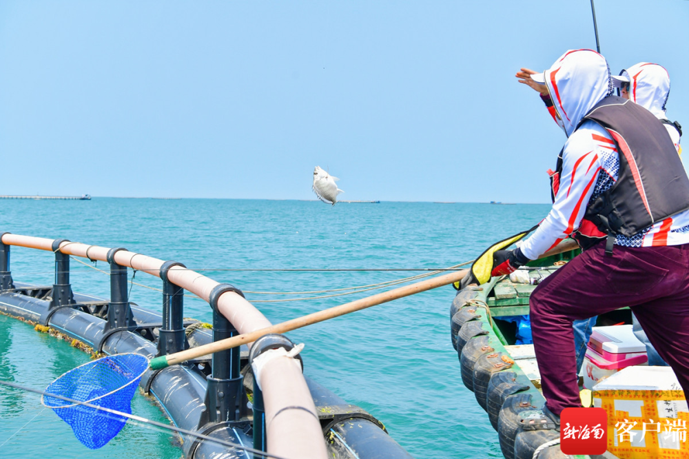 中国海钓比赛(中国海钓第一人) 中国海钓比赛(中国海钓第一人)