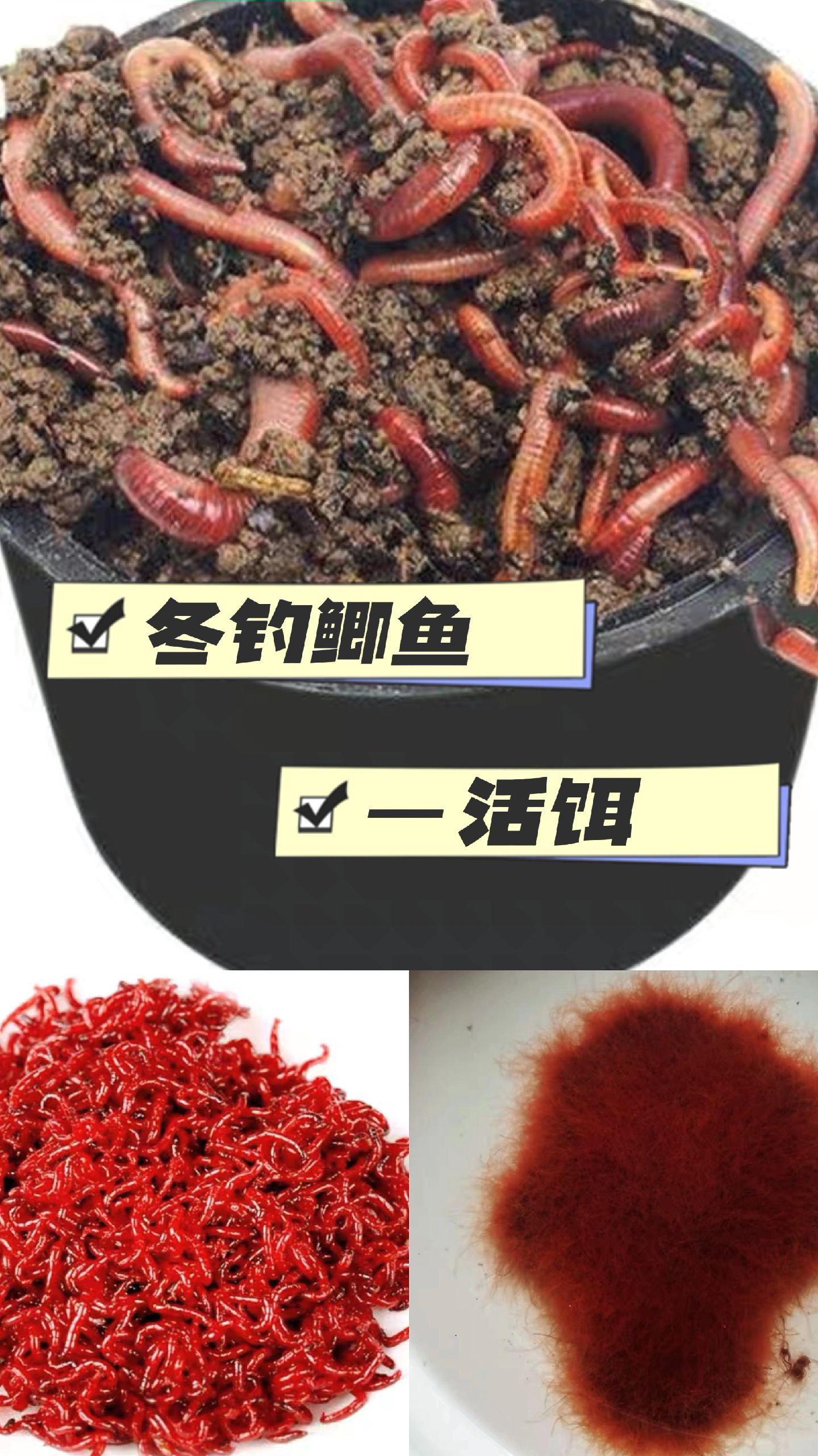 活饵料方法(活饵料教学视频) 活饵料方法(活饵料教学视频)