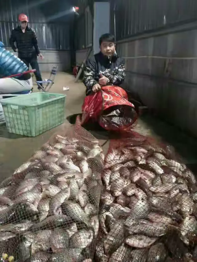 渔纳多渔具查封(渔具名称大全) 渔纳多渔具查封(渔具名称大全)