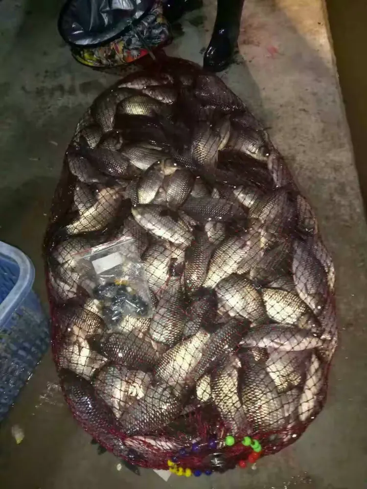 渔纳多渔具查封(渔具名称大全) 渔纳多渔具查封(渔具名称大全)