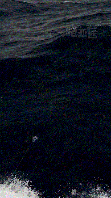 路亚洗鳃(路亚竿清洗) 路亚洗鳃(路亚竿清洗)