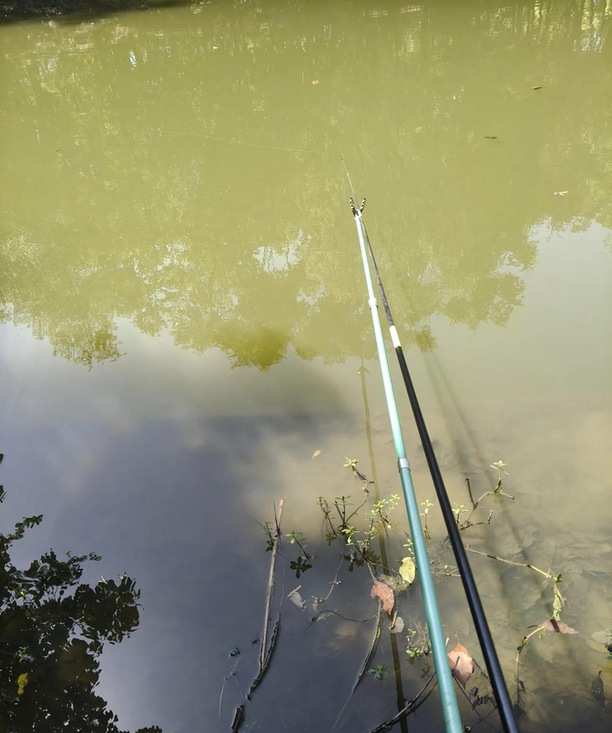 水坝底下钓鱼技巧(水坝钓鱼钓浮还是钓底) 水坝底下钓鱼技巧(水坝钓鱼钓浮还是钓底)