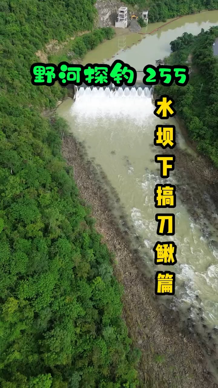水坝底下钓鱼技巧(水坝钓鱼钓浮还是钓底) 水坝底下钓鱼技巧(水坝钓鱼钓浮还是钓底)