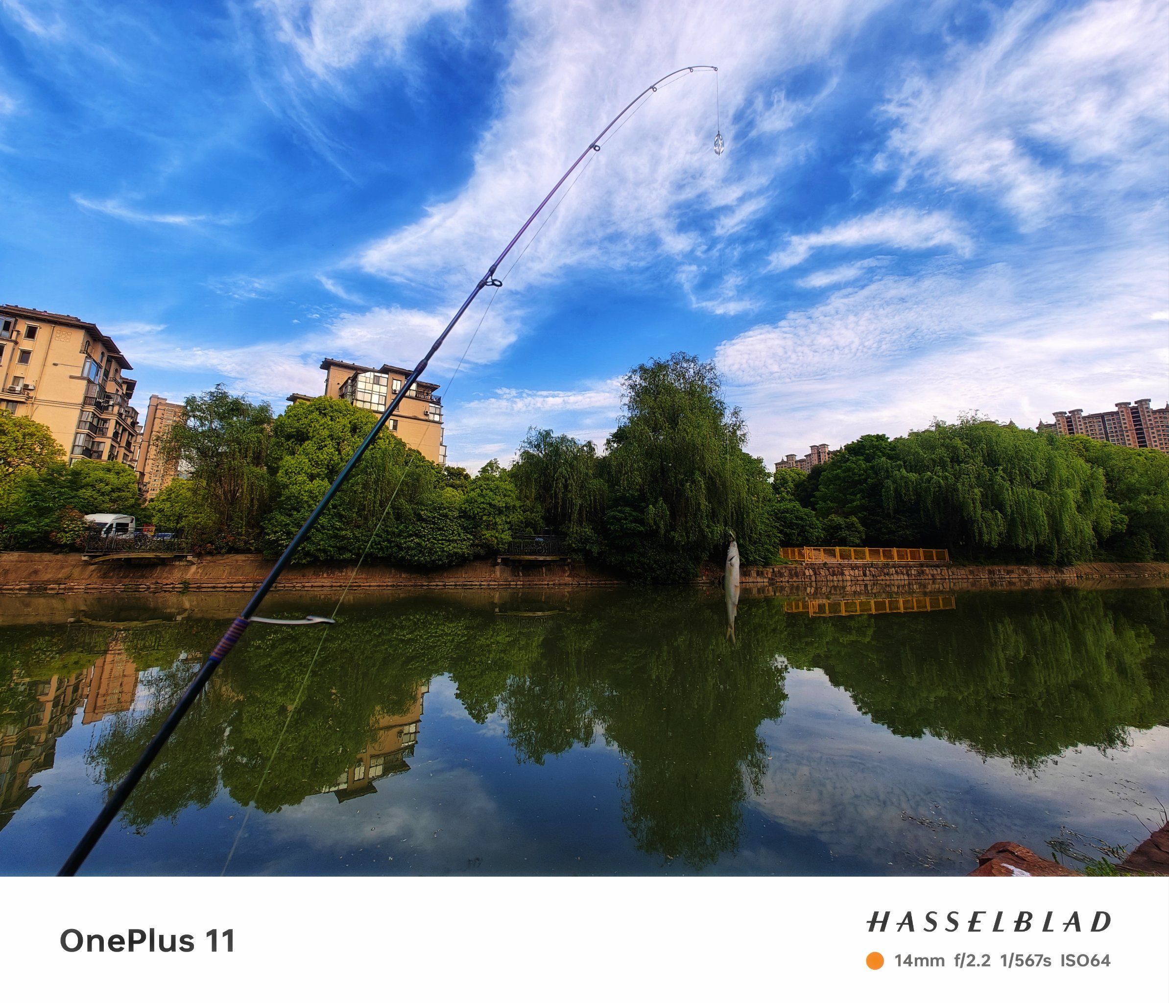 大江路亚(江水路亚) 大江路亚(江水路亚)