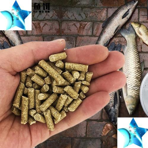 春天钓草鱼最好的饵料(春天怎样钓草鱼 钓草鱼技巧) 春天钓草鱼最好的饵料(春天怎样钓草鱼 钓草鱼技巧)