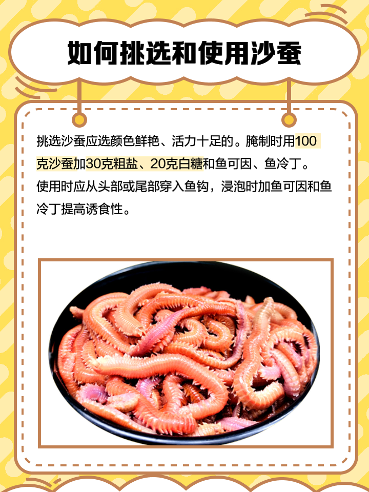 海钓沙蚕挂法(海钓沙蚕用不完怎么保存) 海钓沙蚕挂法(海钓沙蚕用不完怎么保存)