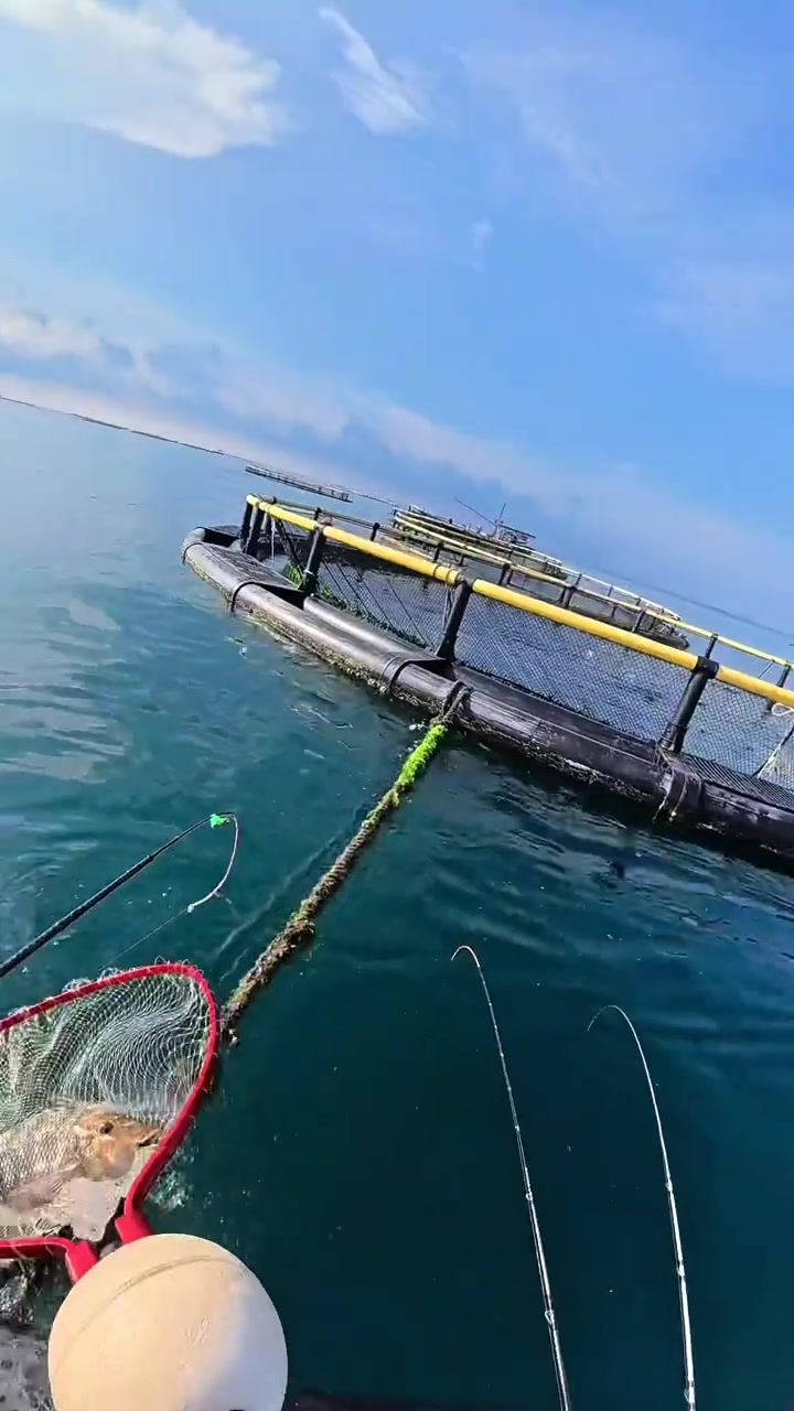 大连天然海钓(大连海上钓鱼的钓点)