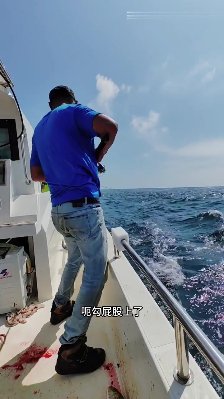 章红海钓方法(钓章红鱼用什么饵料) 章红海钓方法(钓章红鱼用什么饵料)