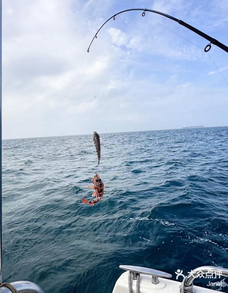 海钓水面浮钓(海钓钓浮好还是钓底好) 海钓水面浮钓(海钓钓浮好还是钓底好)