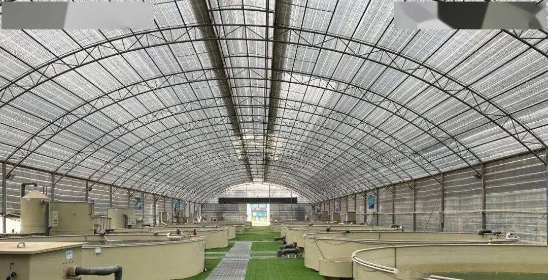 静海钓鱼大棚(天津静海钓鱼场)