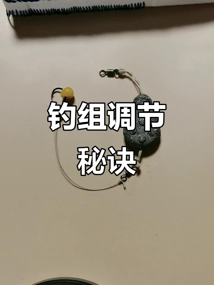 海钓沉底用多大铅坠(海钓沉底钓法) 海钓沉底用多大铅坠(海钓沉底钓法)