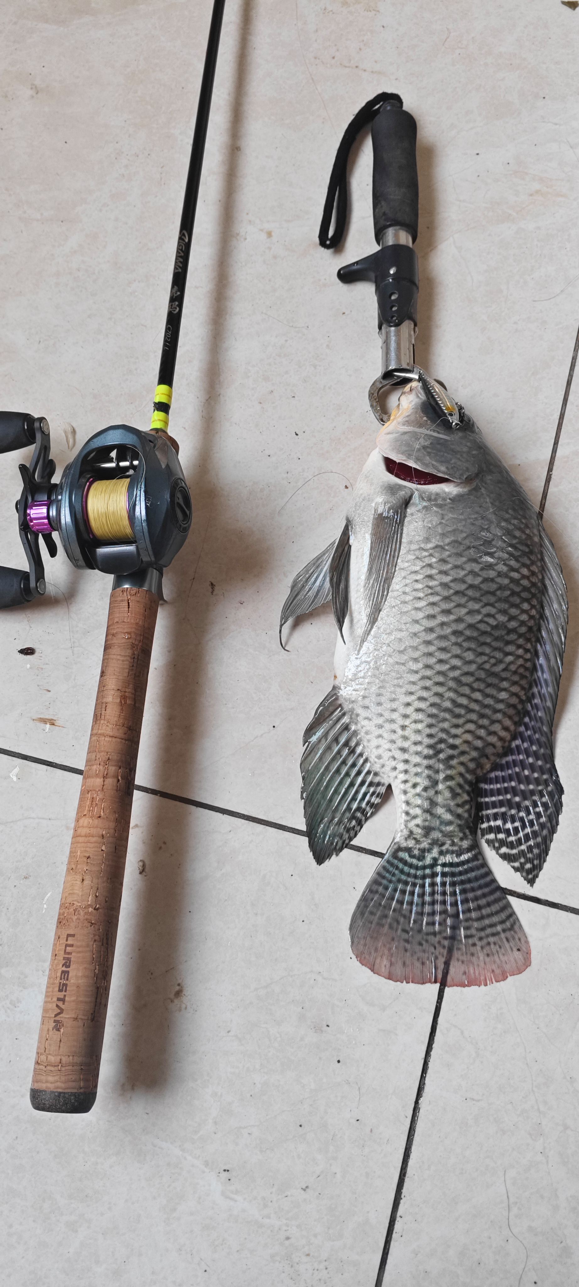 暴君95路亚饵(ml硬度的路亚竿适合多重的饵) 暴君95路亚饵(ml硬度的路亚竿适合多重的饵)