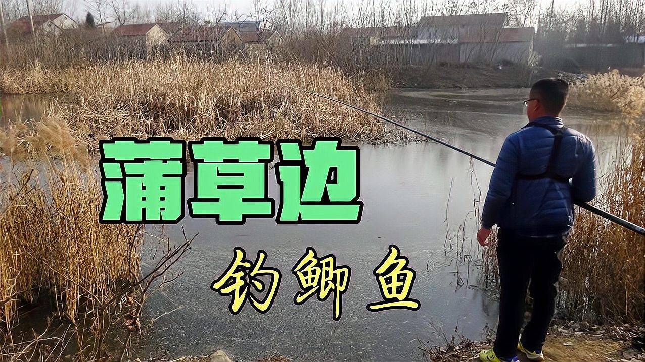 初夏钓鲫鱼技巧打窝(初夏钓鲫鱼技巧打窝视频) 初夏钓鲫鱼技巧打窝(初夏钓鲫鱼技巧打窝视频)