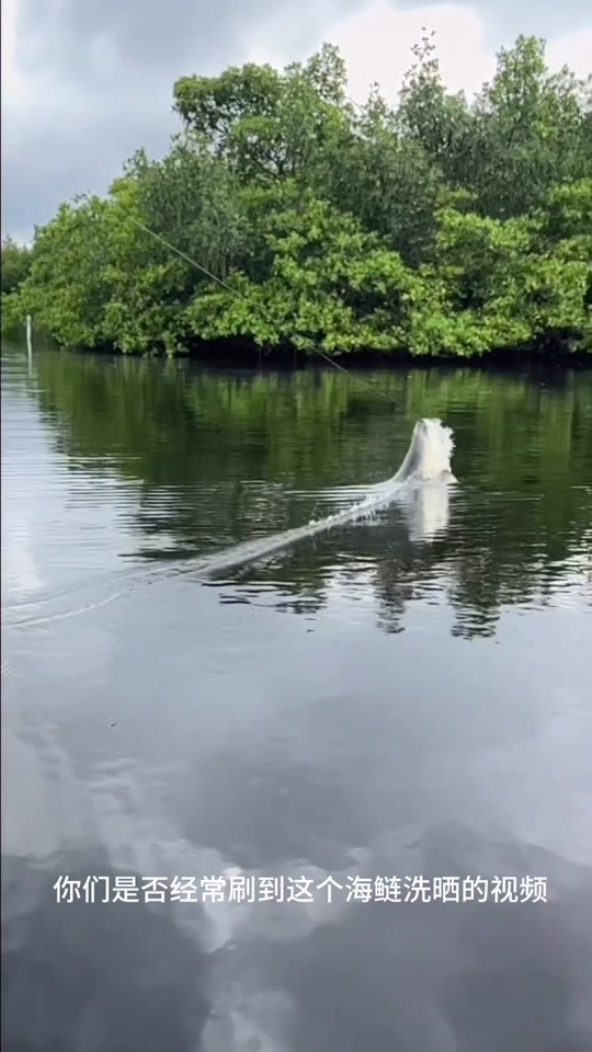 东莞路亚基地(东莞附近路亚)