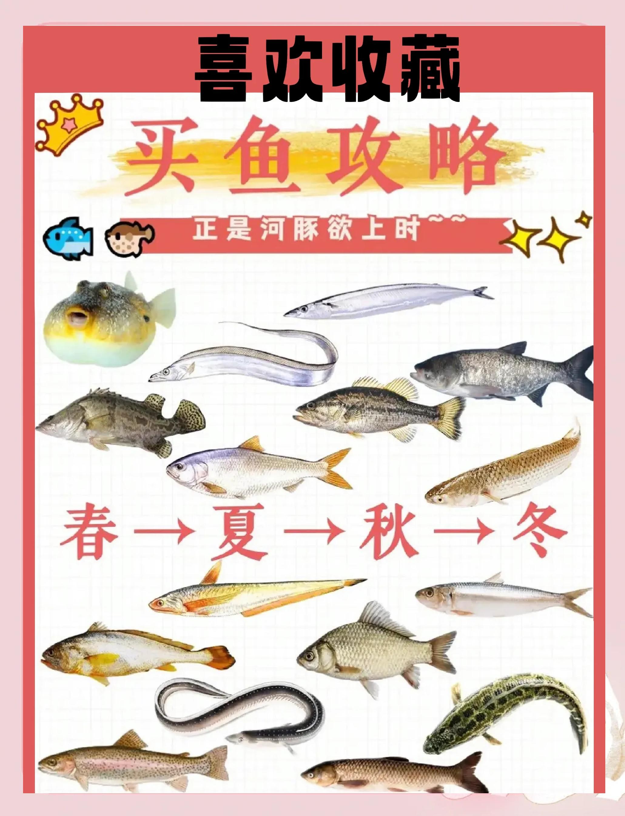 卖渔具的利润有多少(卖渔具的商店) 卖渔具的利润有多少(卖渔具的商店)