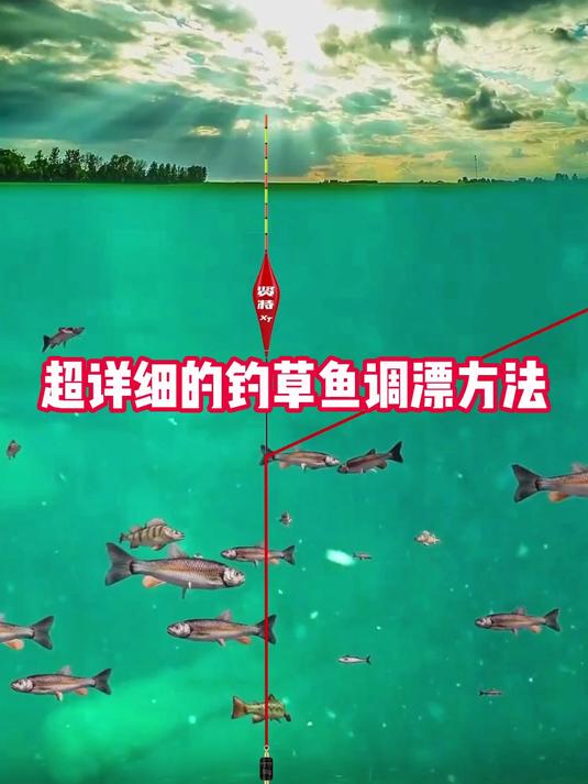 夜钓草鱼的技巧视频(野钓夜钓草鱼) 夜钓草鱼的技巧视频(野钓夜钓草鱼)