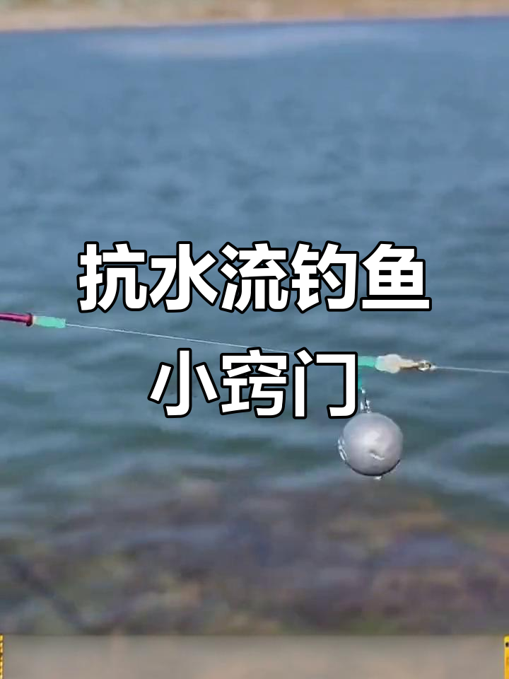 沙河走水钓鱼技巧(沙河水库钓鱼2021) 沙河走水钓鱼技巧(沙河水库钓鱼2021)