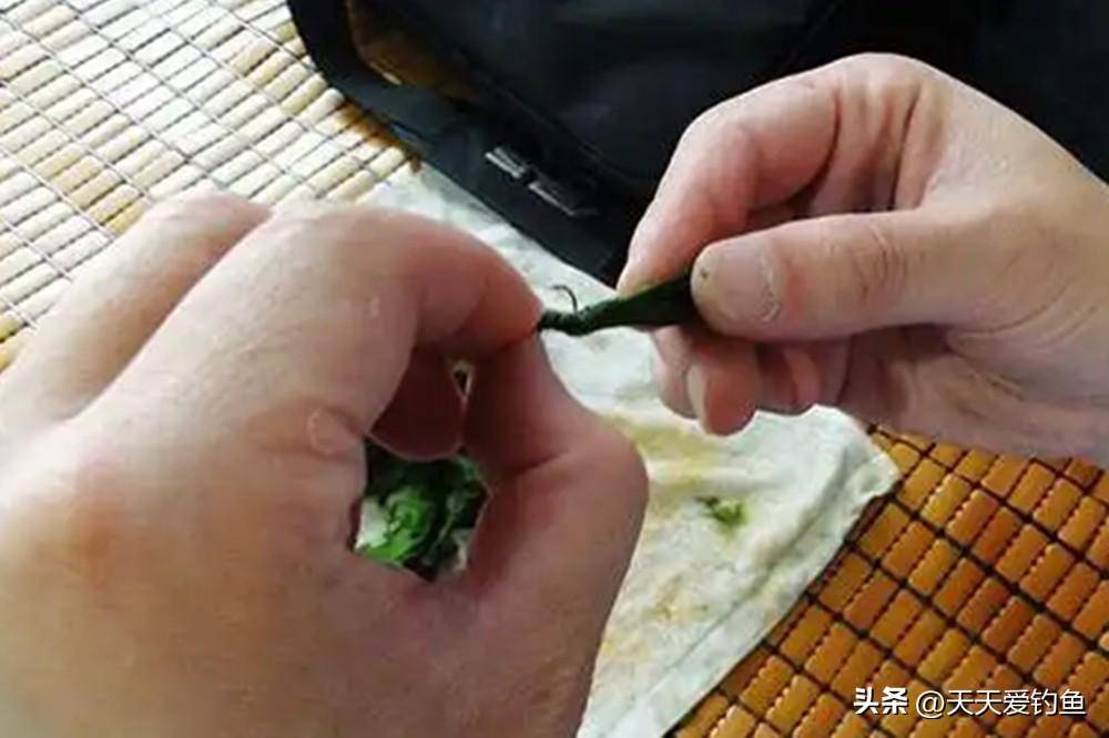 饵料中加紫菜(紫菜钓鲤鱼) 饵料中加紫菜(紫菜钓鲤鱼)