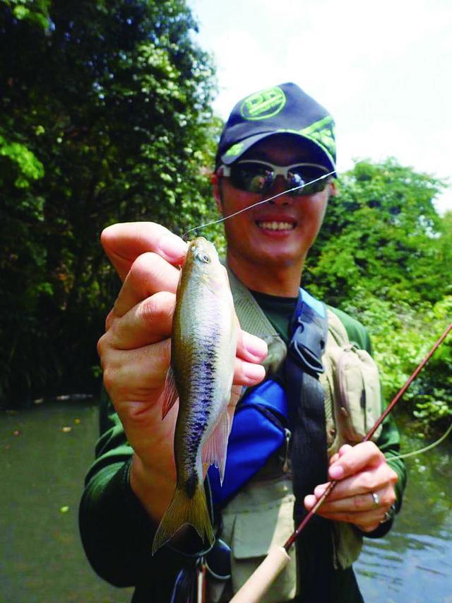 飞蝇钓鲤鱼技巧(飞蝇钓鲤鱼技巧和方法) 飞蝇钓鲤鱼技巧(飞蝇钓鲤鱼技巧和方法)