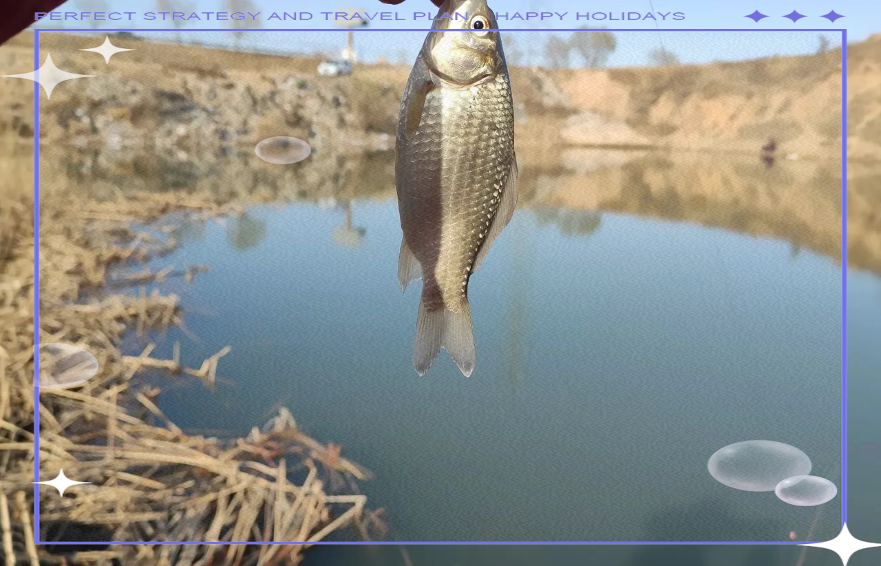 冰钓大鲫鱼技巧(冰钓鲫鱼钓深还是钓浅) 冰钓大鲫鱼技巧(冰钓鲫鱼钓深还是钓浅)
