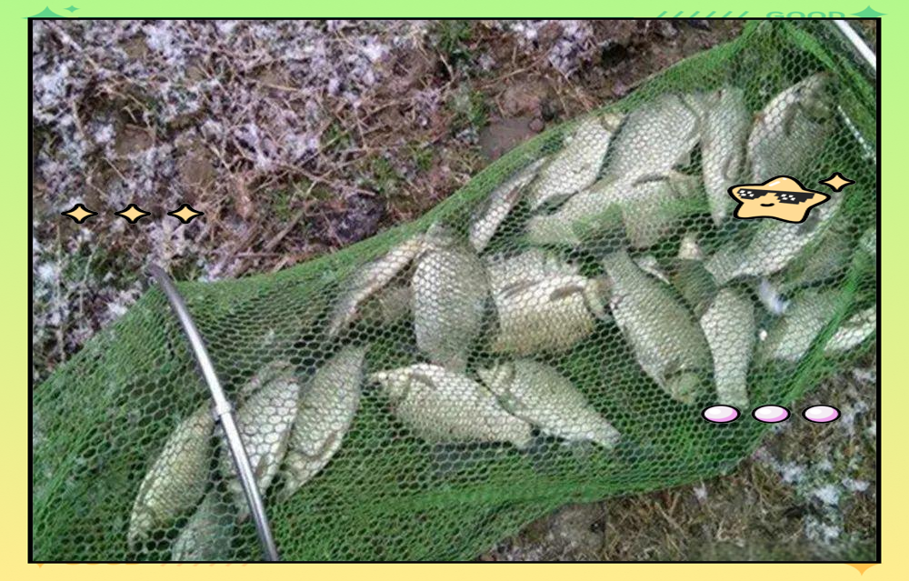 冰钓大鲫鱼技巧(冰钓鲫鱼钓深还是钓浅) 冰钓大鲫鱼技巧(冰钓鲫鱼钓深还是钓浅)