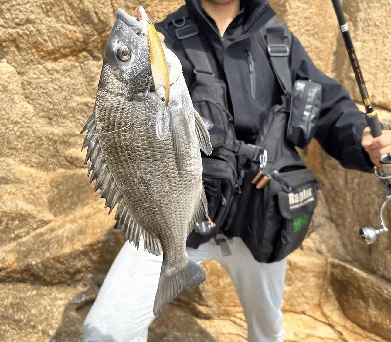 海钓鱼视频大全高清楚(海钓鱼视频野钓实战高清) 海钓鱼视频大全高清楚(海钓鱼视频野钓实战高清)