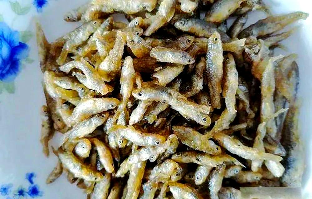 钓麦穗鱼技巧视频(钓麦穗鱼技巧视频讲解) 钓麦穗鱼技巧视频(钓麦穗鱼技巧视频讲解)