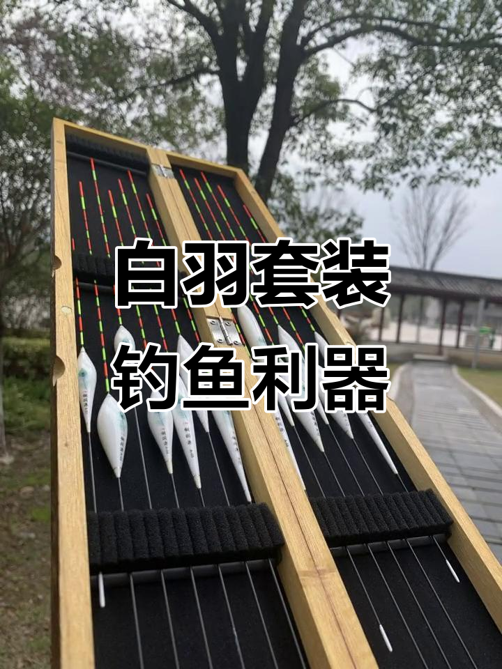 钓鱼装备技巧实战(钓鱼装备技法实战)