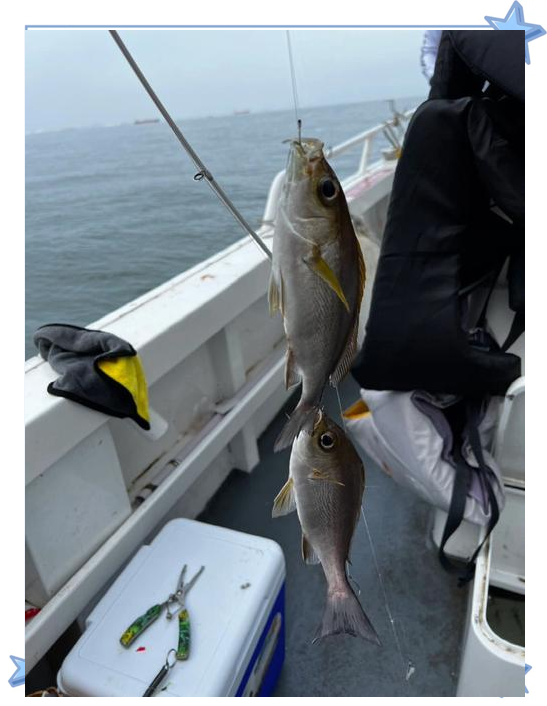 海钓线长(海钓线一般几米)