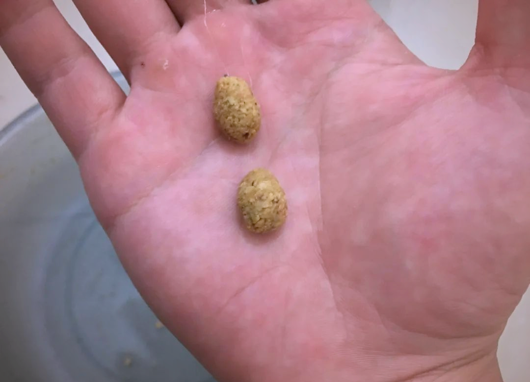 鸡内脏饵料(鸡内脏是否可以当钓鱼饵料) 鸡内脏饵料(鸡内脏是否可以当钓鱼饵料)