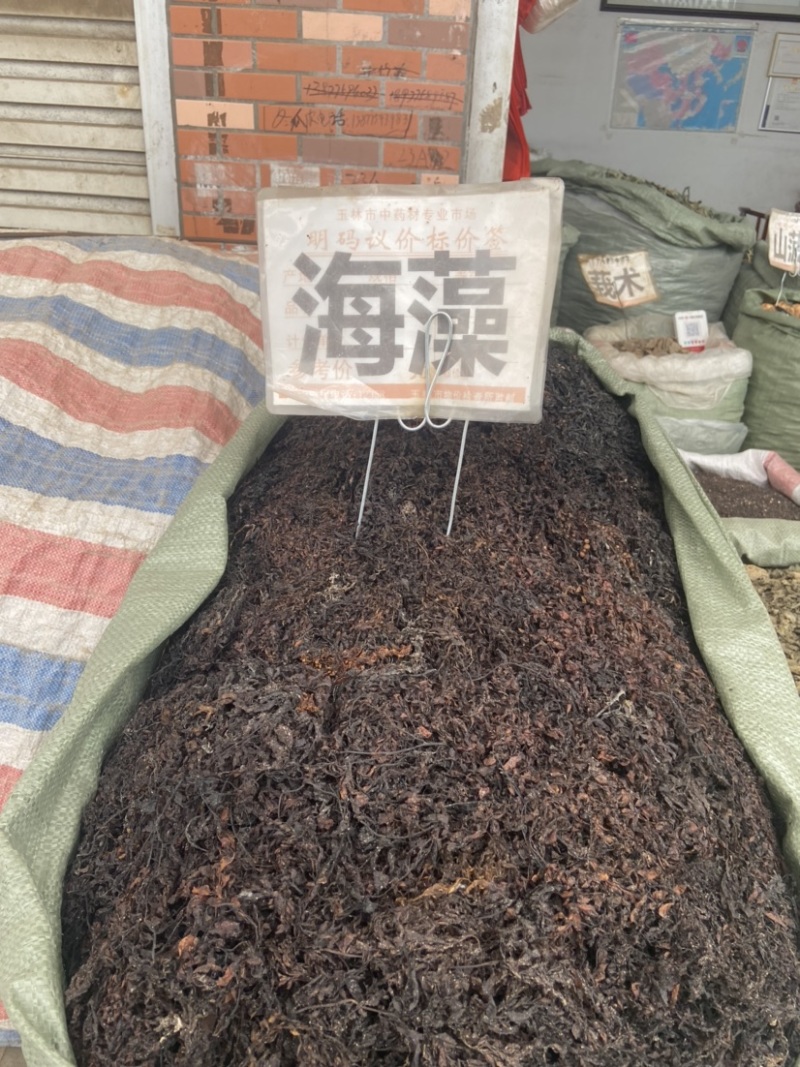 海藻一公斤使用技巧(海藻一公斤正确用法) 海藻一公斤使用技巧(海藻一公斤正确用法)