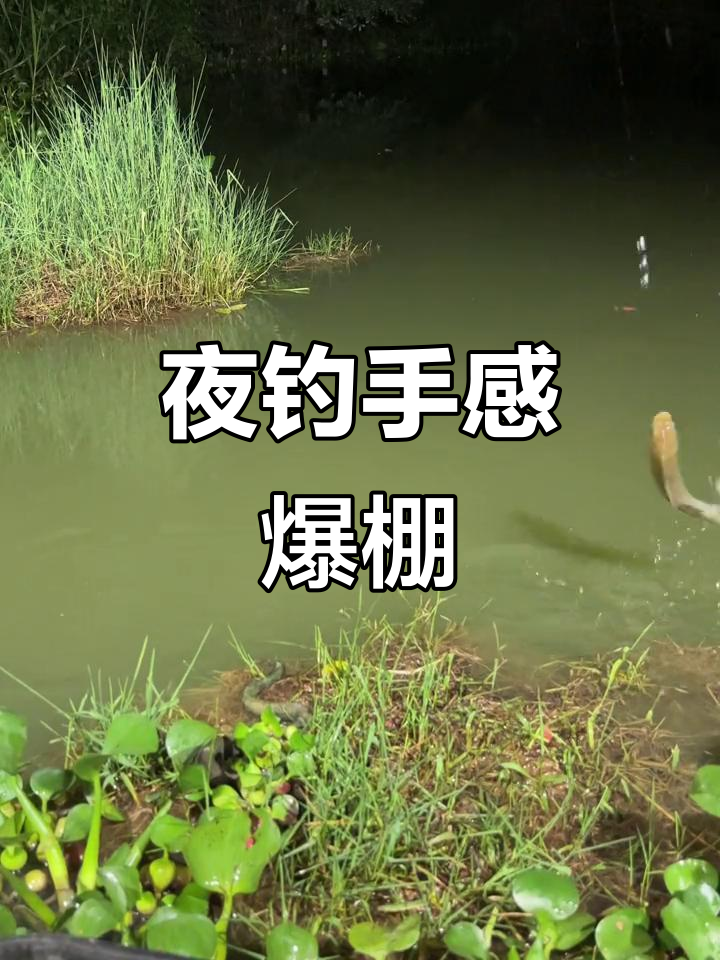 秋季夜晚钓鱼技巧(秋季夜晚钓鱼技巧和方法) 秋季夜晚钓鱼技巧(秋季夜晚钓鱼技巧和方法)