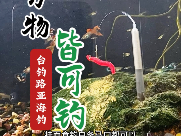 台钓海钓路亚(台钓路亚海钓什么意思)