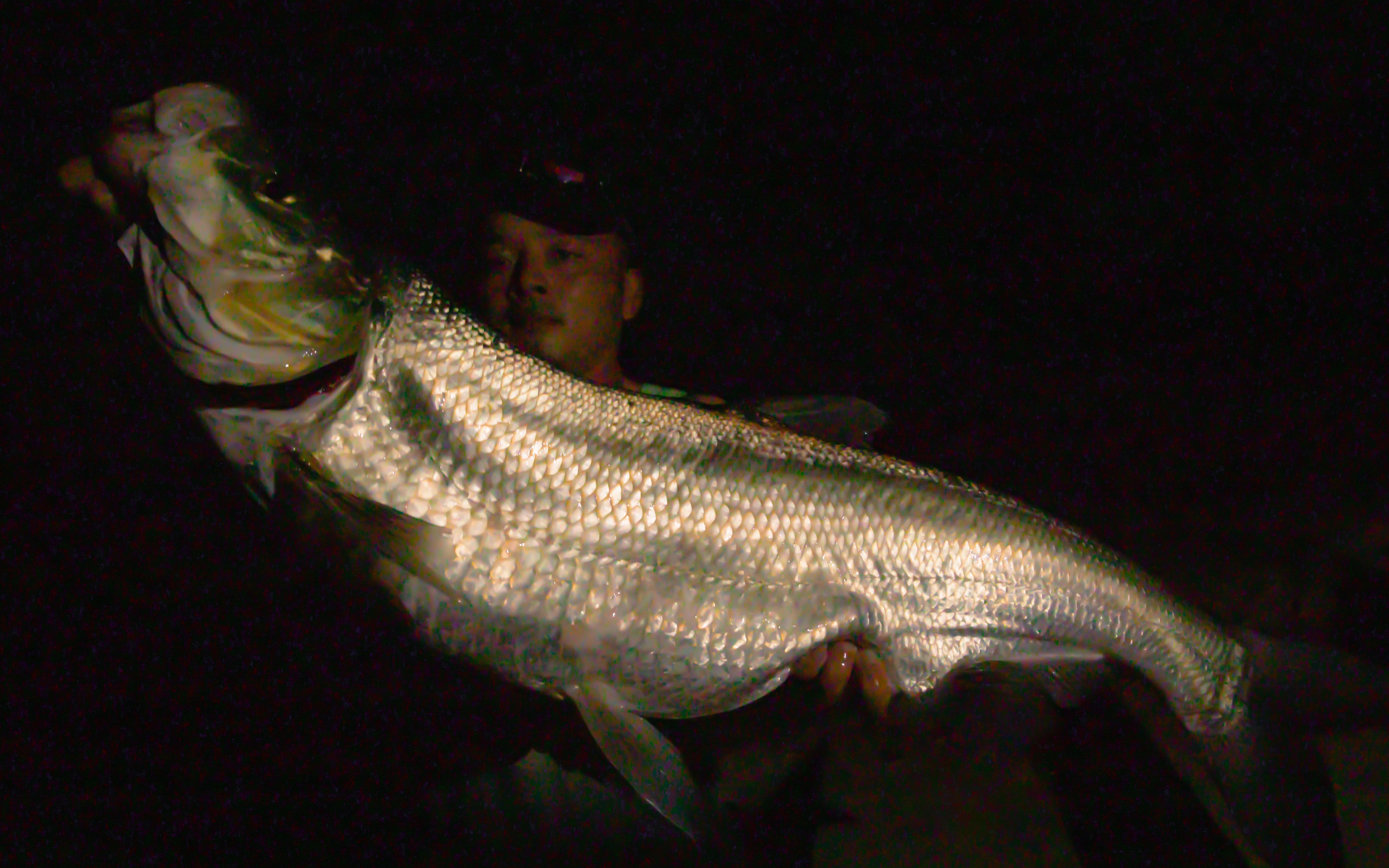 信阳路亚论坛(信阳哪里可以免费甩路亚的地方) 信阳路亚论坛(信阳哪里可以免费甩路亚的地方)