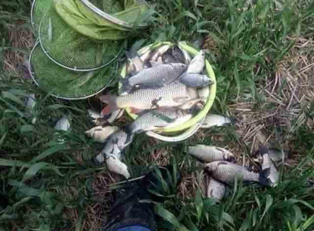 四海钓鱼化绍新(四海钓鱼探钓之旅)